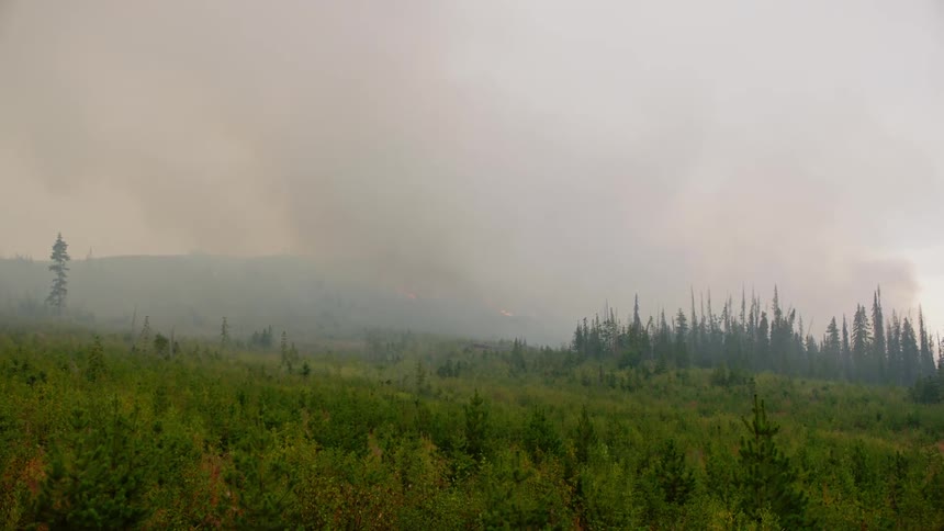 Heavy smoke fills the sky over the forest