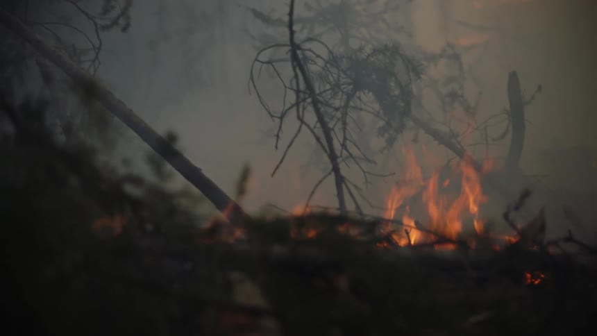 A raging wildfire burns as blazing flames spread across the forest