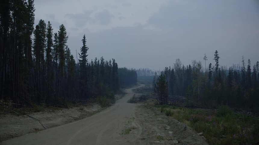 Smoke fills area over conifers and highwaypassing through forest