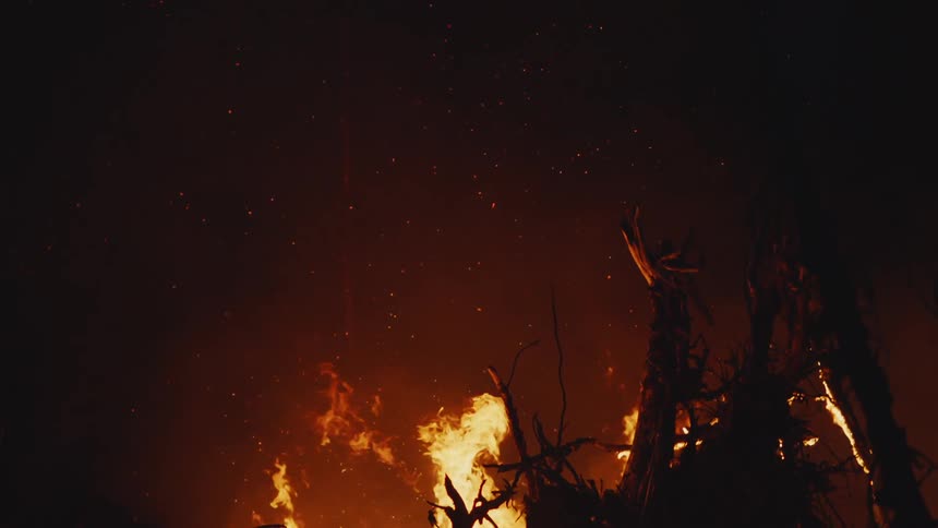 Flames and embers rise in smoke as a raging forest fire burns in the darkness