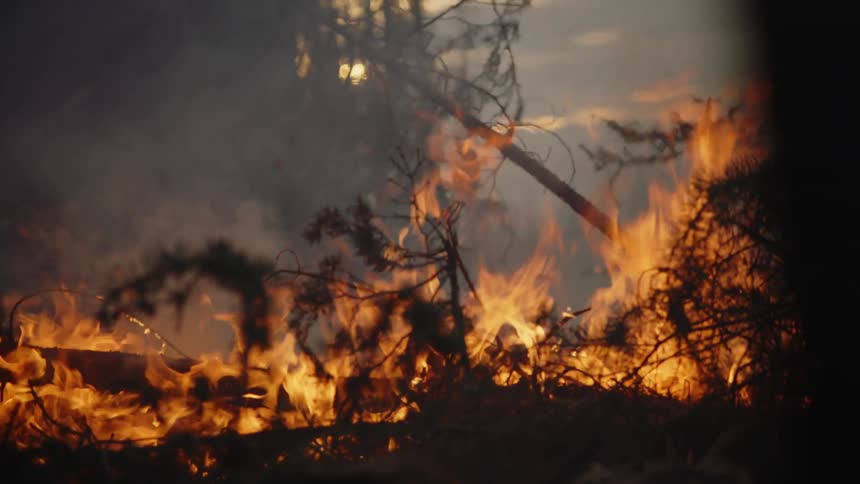 Flames grow taller as a forest fire spreads