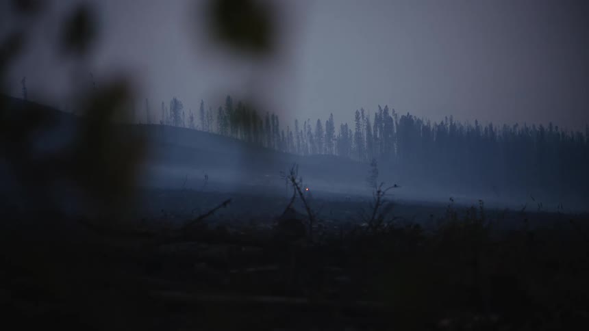 Heavy smoke fills the sky over a forest