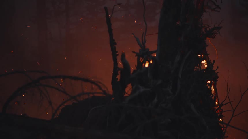 Sparks fly through smoky air from wild burning forest fire at night