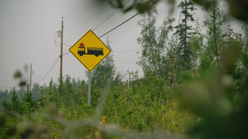 A yellow road sign with a truck on it standing in the dense weeds on the side of the road