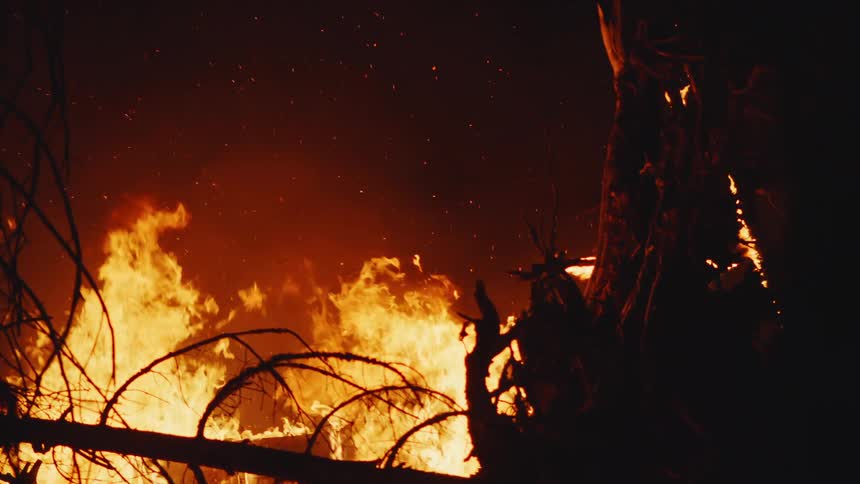 Sparks rise into night air from wildfire burning in forest and silhouetting trees
