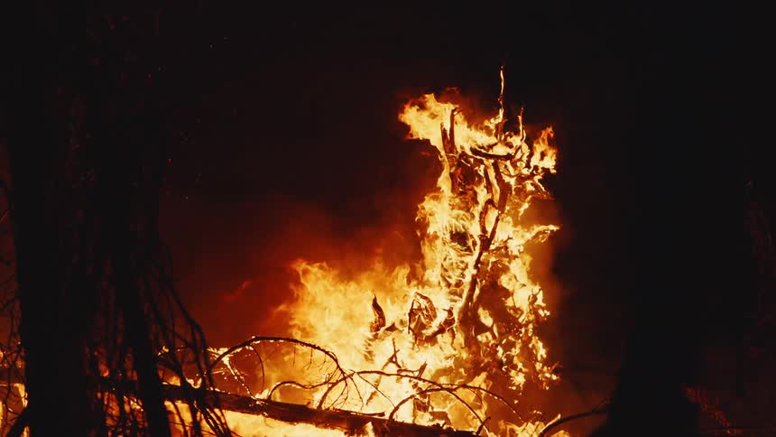 Trees are silhouetted against wildly burning forest fire at night