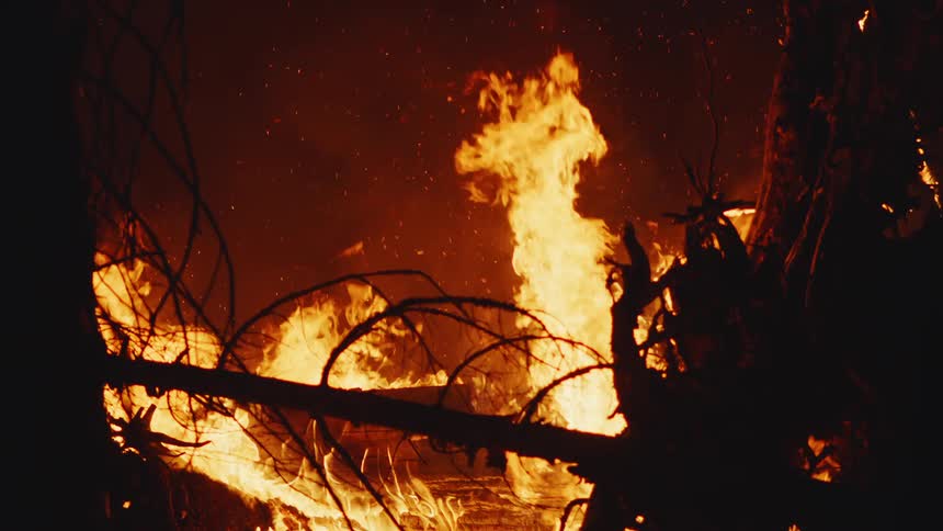 A forest fire blazing at night around branches and trees