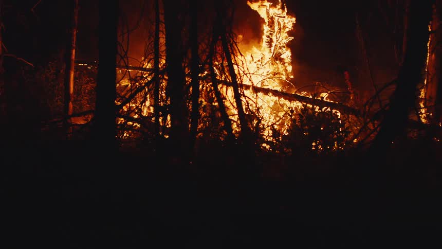 Smoke rises from wildfire and trees are silhouetted against the flames at night