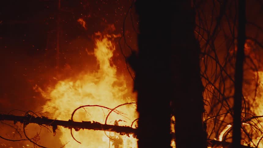 Wildly burning forest fire releases sparks and smoke into the air at night