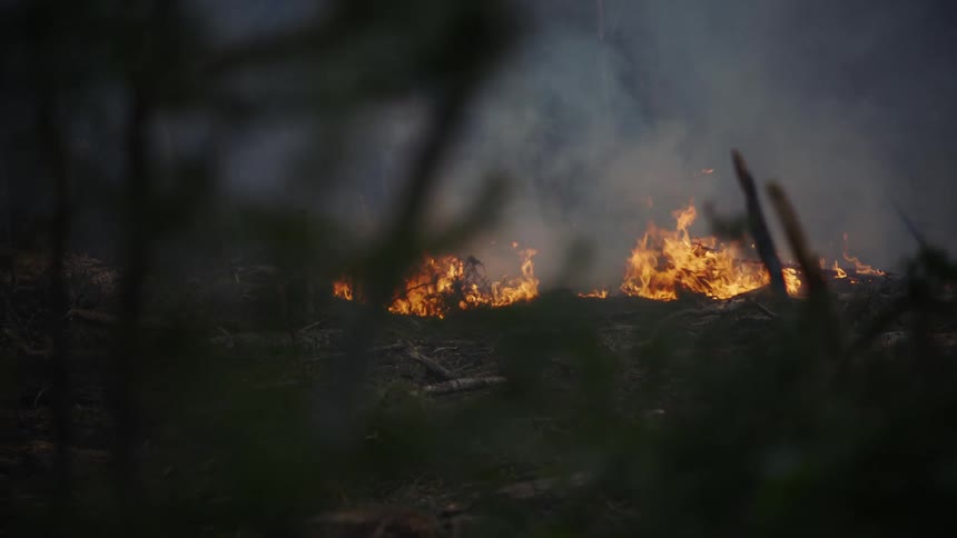 Flames and embers rise in the smoke as a forest fire burns in the darkness
