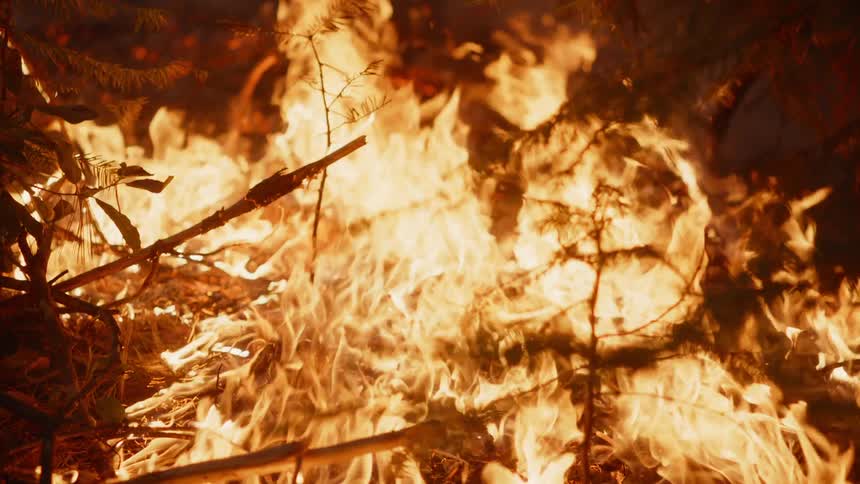 Flames grow taller as a forest fire rages