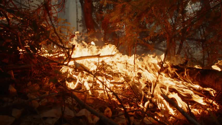 A raging wildfire burns as blazing flames burn trees and move close to a house