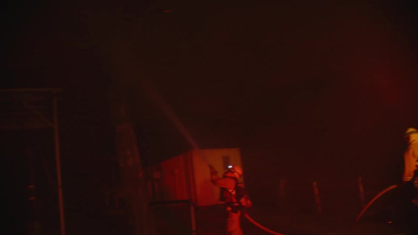 Firefighters try to put out a tree fire