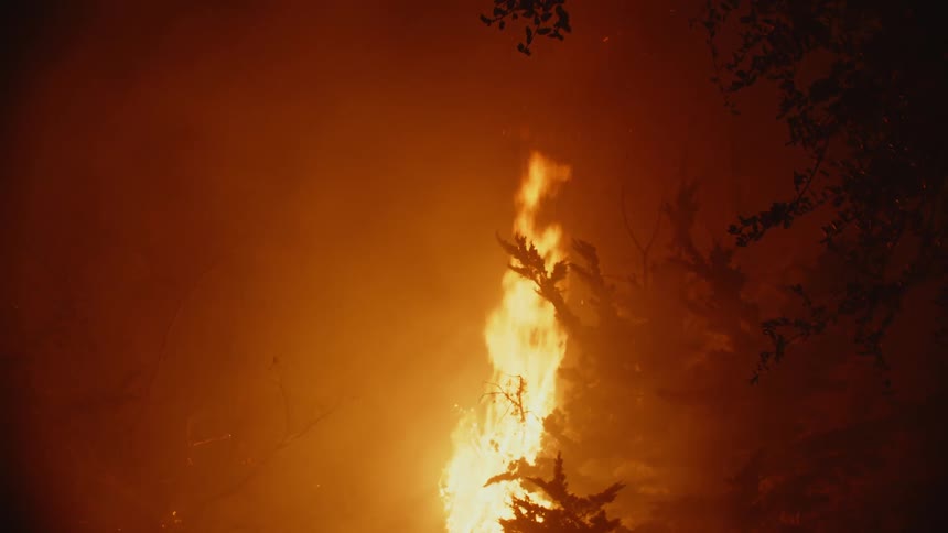 A raging forest fire burns as blazing flames illuminate the rising smoke in the darkness