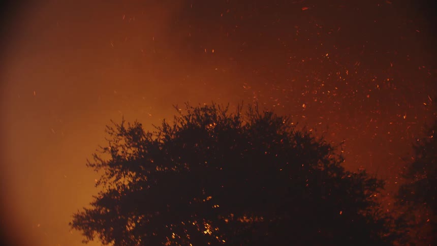 Footage of a wildfire burning the trees behind a wooden fence in the countryside at night