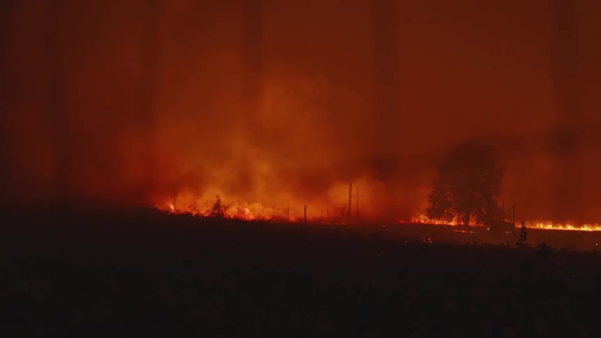A raging forest fire burns as blazing flames illuminate the rising smoke in the darkness
