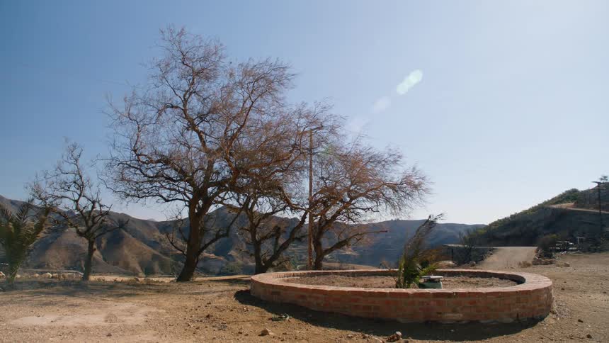 A round planter sits in the desert as trees and plants move in the wind and a dirt road leads to mountains in the distance under a clear sunny sky