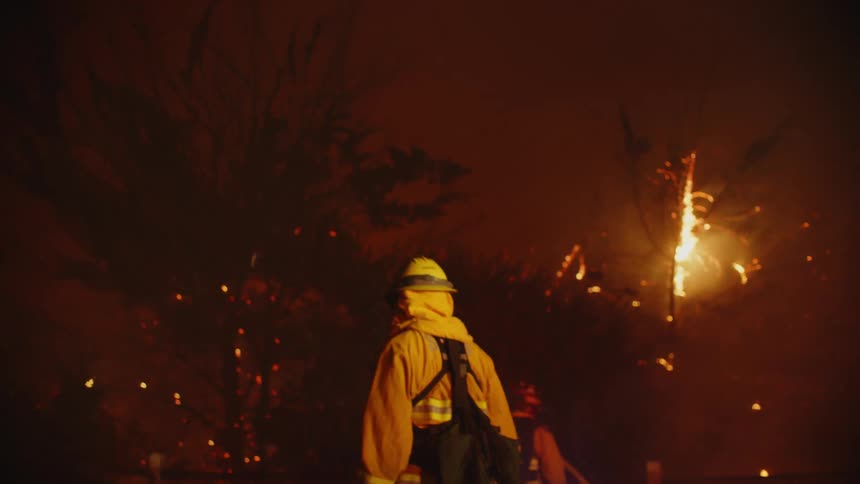 Firefighters try to put out a forest fire