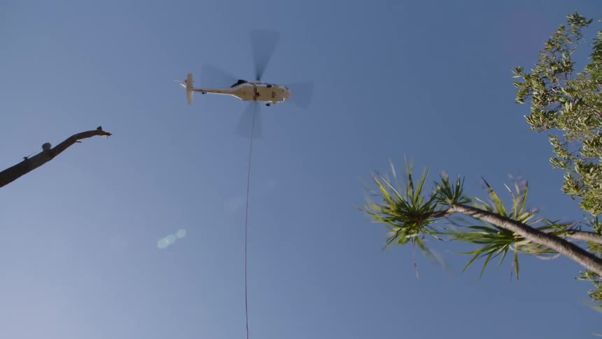 A helicopter hovering over trees with a rope descending from it
