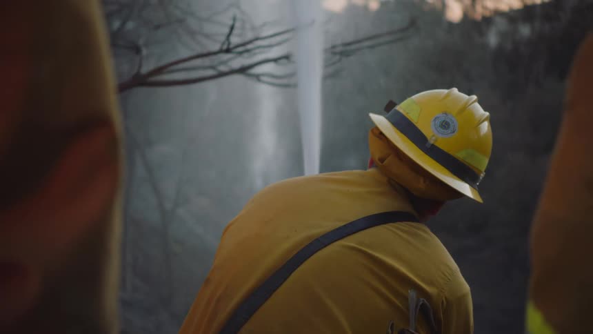 A firefighter shooting water out of a hose at a tree while two other firefighters stand behind him