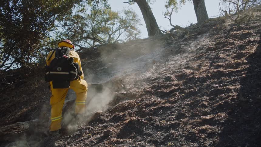 A firefighter stirs through ash after a forest fire