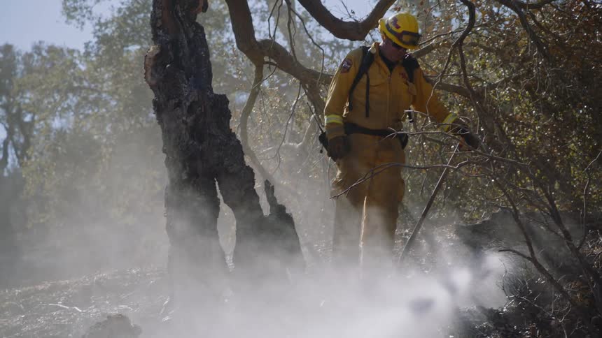 A firefighter puts out ash remnants of a forest fire