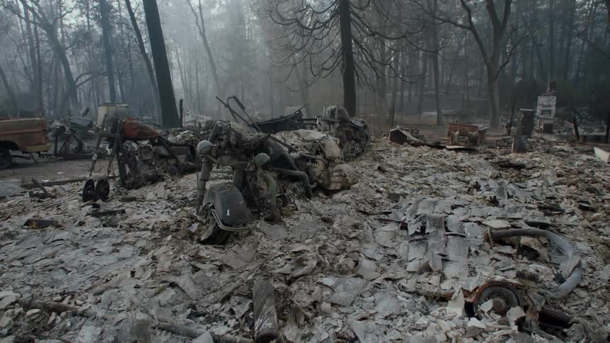 Burnt motorcycles sit among building debris near charred woods
