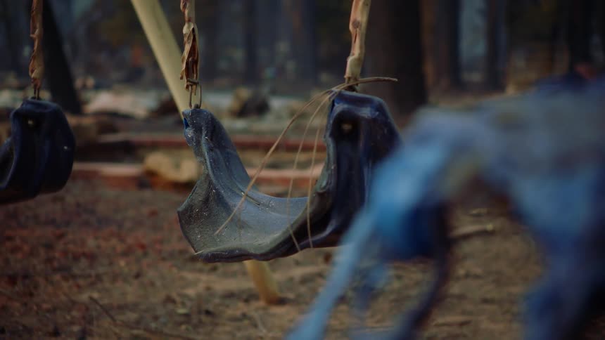 Melted swing seats sway in breeze near forest