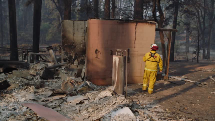 The structure is burned down along with the forest