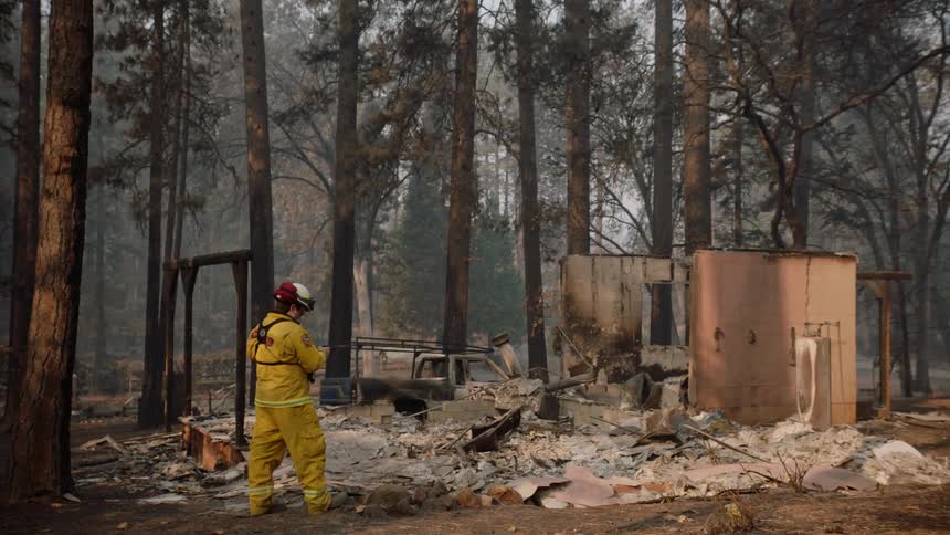 Firefighter stands near burned ruined building in woods and makes notes