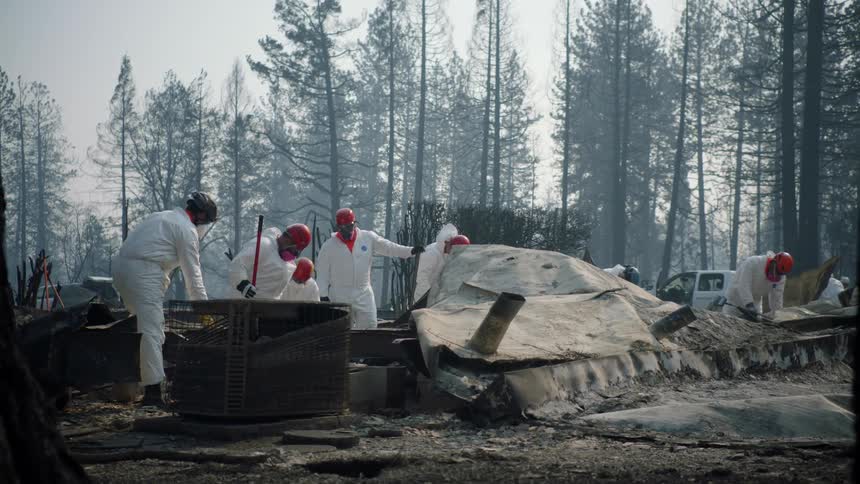 A small group of people in white uniforms sift through wreckage near a wooded area