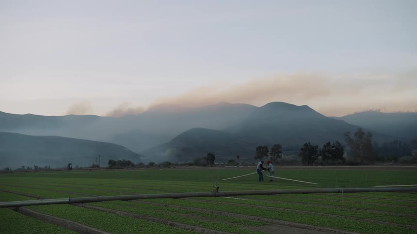 Two men standing in crop field work with hose