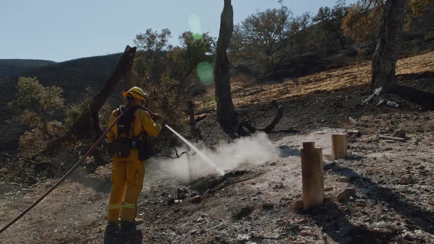 Firefighter spraying a hose at the ground full of ashes near trees