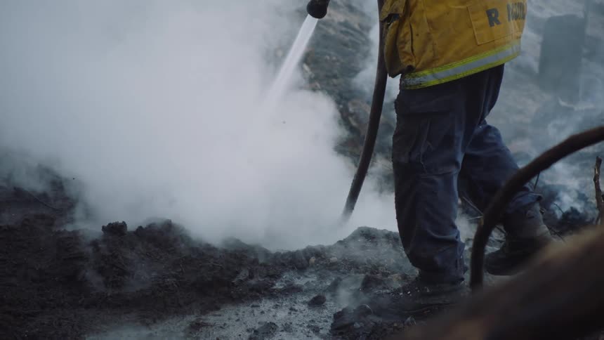 A firefighter is standing outside near trees holding a hose as he sprays water into the thick rising smoke