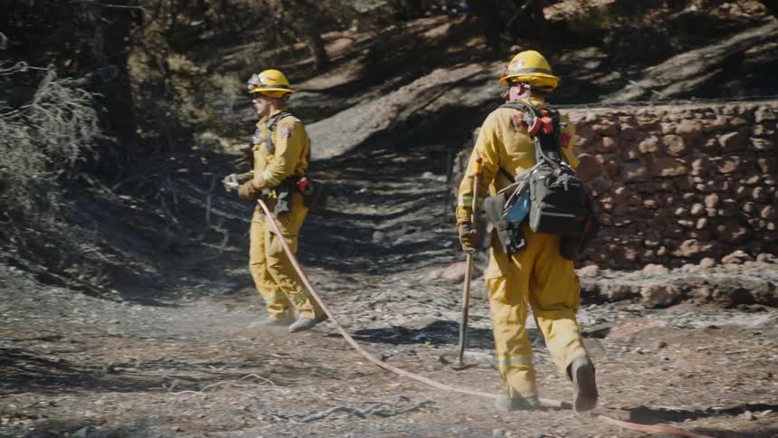 Two firemen one holding a hose and spraying trees and the other walking around the man spraying