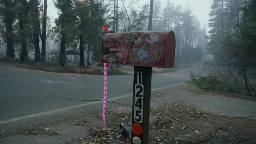 A mailbox on the side of the road standing up next to a mailbox that is laying on the ground
