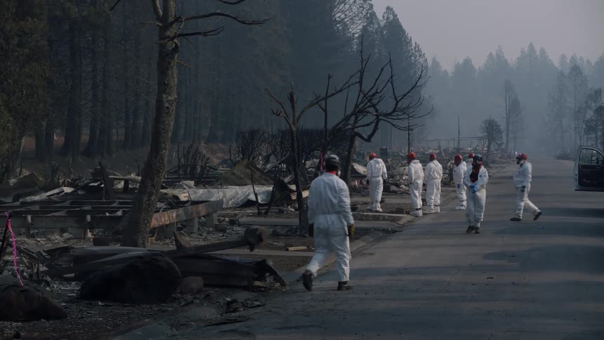 People in hazmat suits searching through aftermath of a forest fire