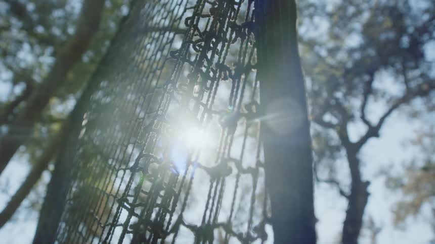 Close up of sunlight filtering through a net hanging from a tree