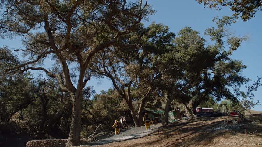 Two firefighters are standing near trees as they walk toward a house