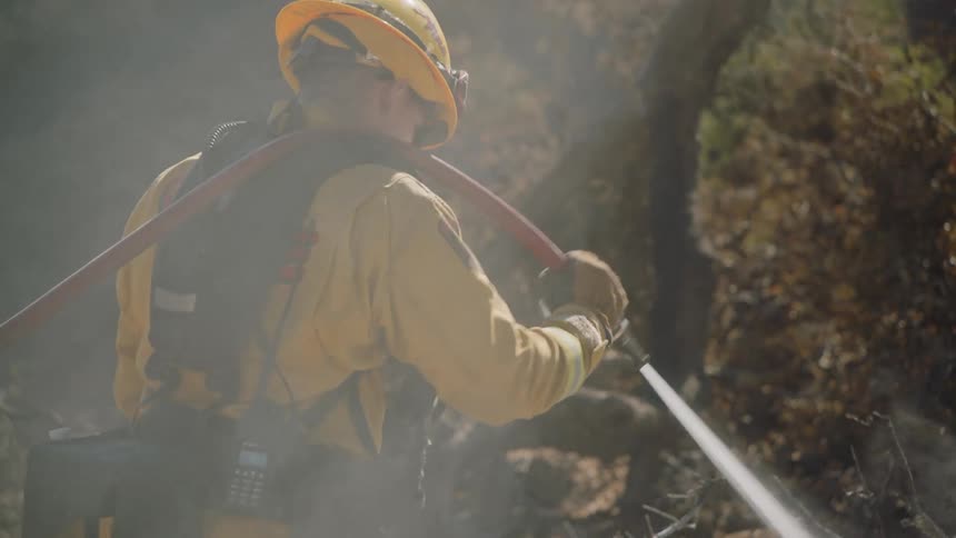 A firefighter in a yellow suit uses a hose to spray water over dry soil before a tree