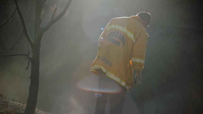 Firefighters wearing yellow protective gear inspecting the ground of a burned area in the forest