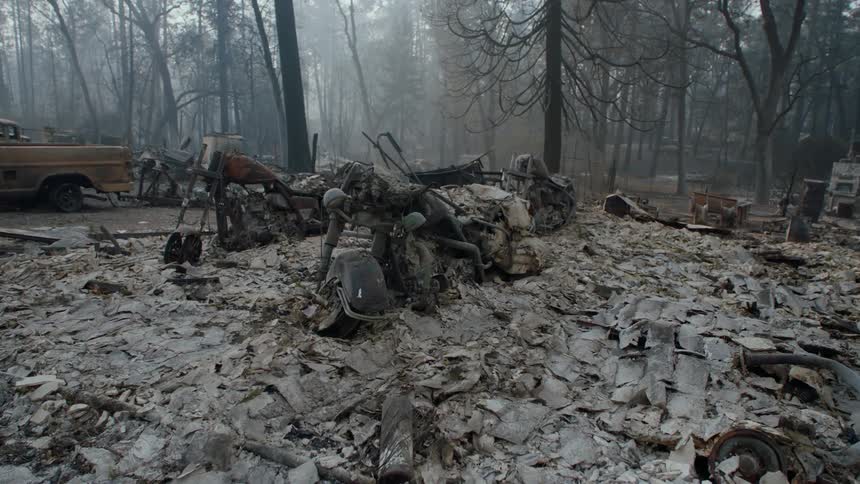 Foggy charred woods border wreckage of vehicles and scattered debris