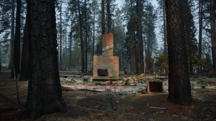A brick chimney standing along among house remains debris and rubble in a forest