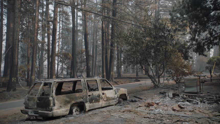 A burned out truck sits among debris in the woods as smoke fills the sir