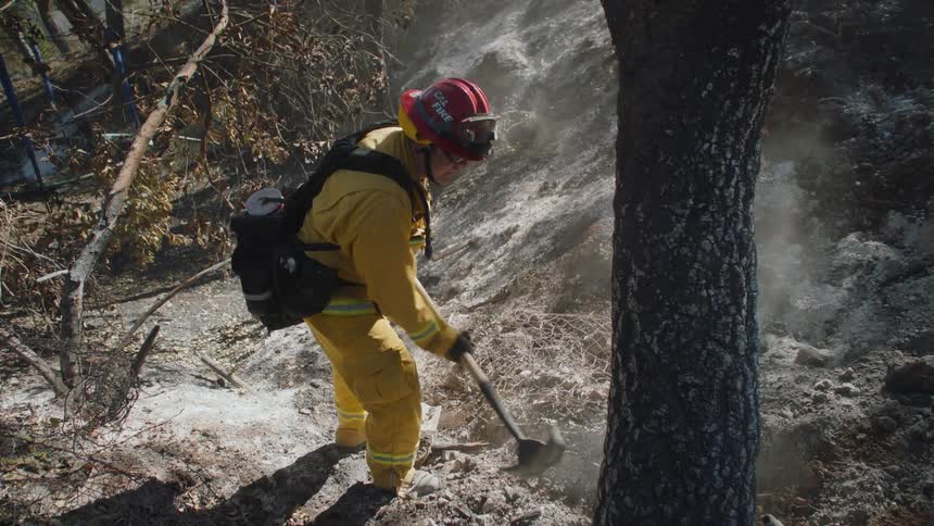 Fireman shifting through ashes with shovel in aftermath of a forest fire