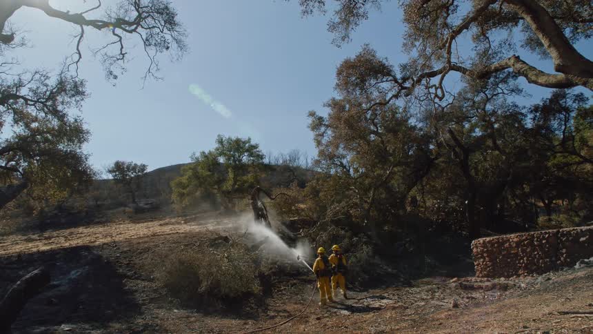 One firefighter wets rake in stream being spray at burnt tree by another firefighter before walking toward same tree