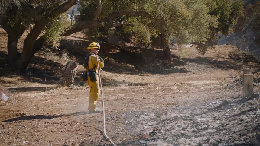 A firefighter carries a hose past ashes in a forest