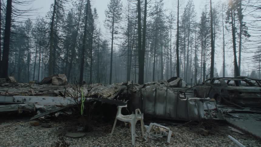 The aftermath of a destructive outdoor force shows destroyed belongings plus downed and destroyed trees