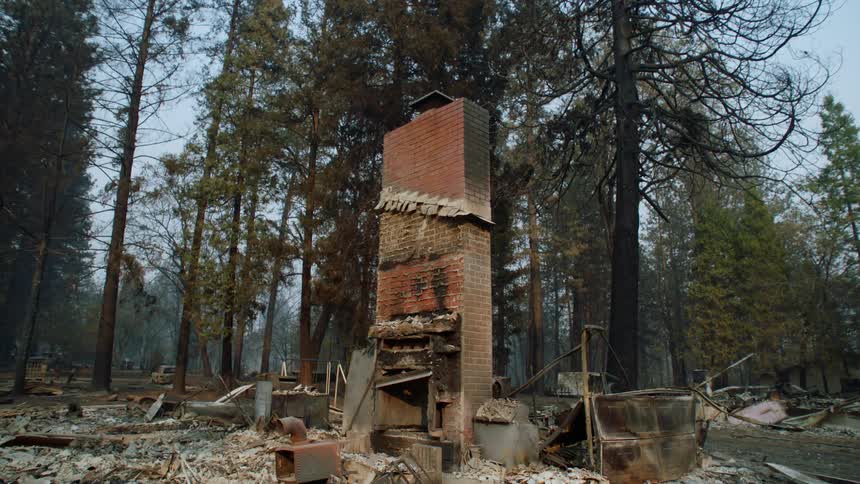 Debris stand in ruins in the woods where a house once stood as the chimney remains