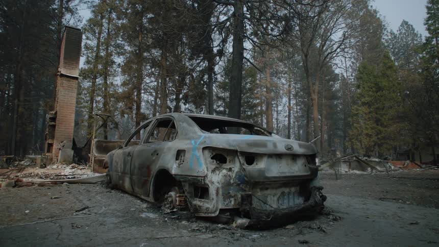 A burned out automobile sits among debris near the woods of a rural area